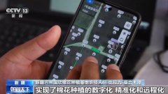 “聪慧管家”帮力 本年我国棉花种植面积达448